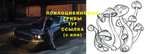 СК Верея