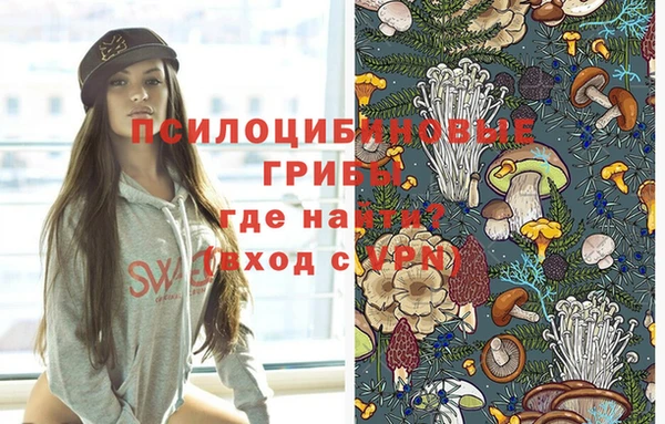 альфа пвп Верхнеуральск