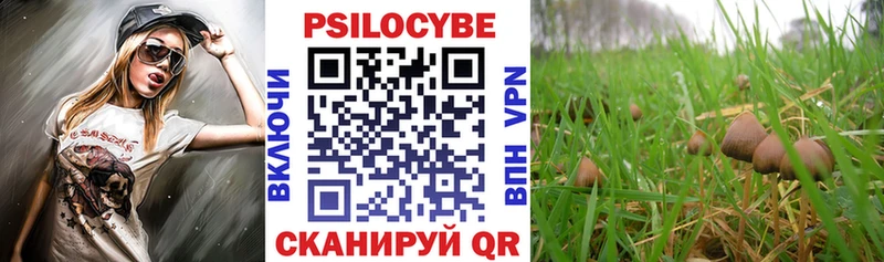 Псилоцибиновые грибы Magic Shrooms ОМГ ОМГ вход Астрахань