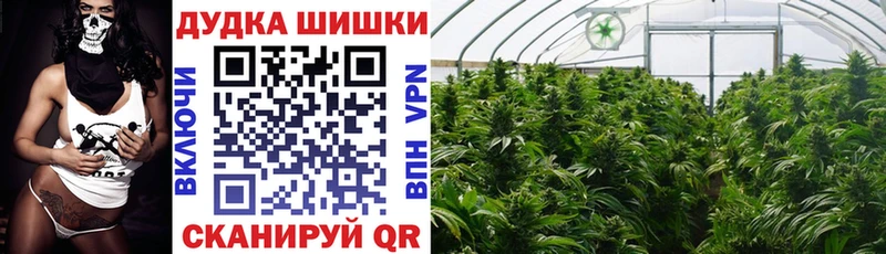Каннабис план  Астрахань 